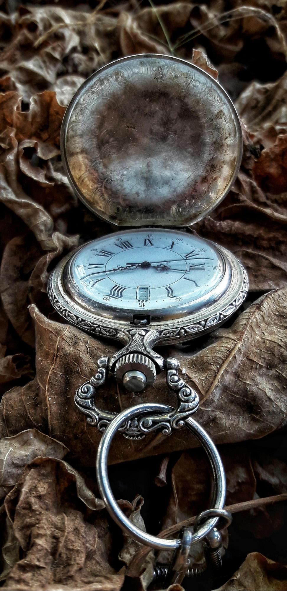 Vintage Timepiece